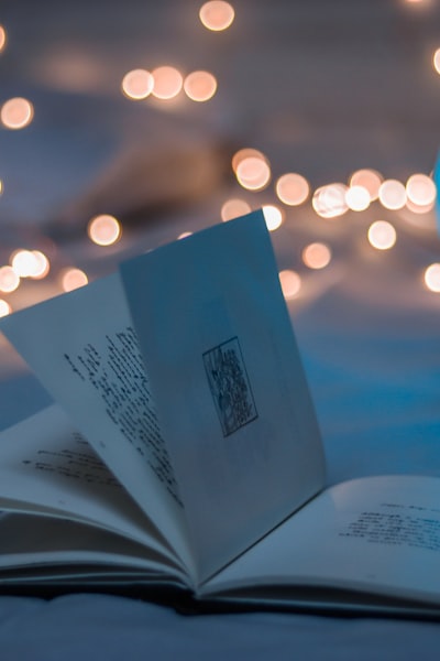 古装仙侠剧《长月烬明》海报，主演罗云熙与白鹿身着华服